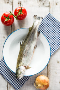 Forelle frisch vom Markt auf maritimen Teller mit zwei roten Tomaten und einer Zwiebel, auf kariertem Tuch Forelle frisch vom Markt auf maritimen Teller mit zwei roten Tomaten und einer Zwiebel, auf kariertem Tuch